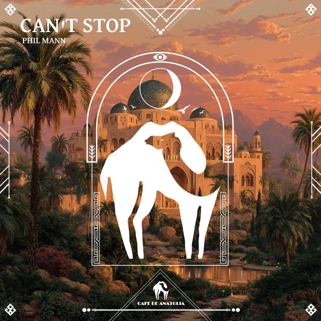 Can't Stop album image