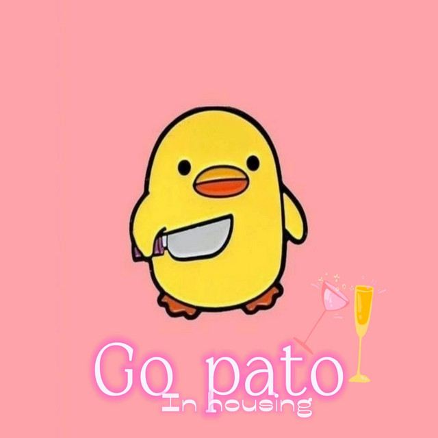 GO PATO IN HOUSING - Radio Edit