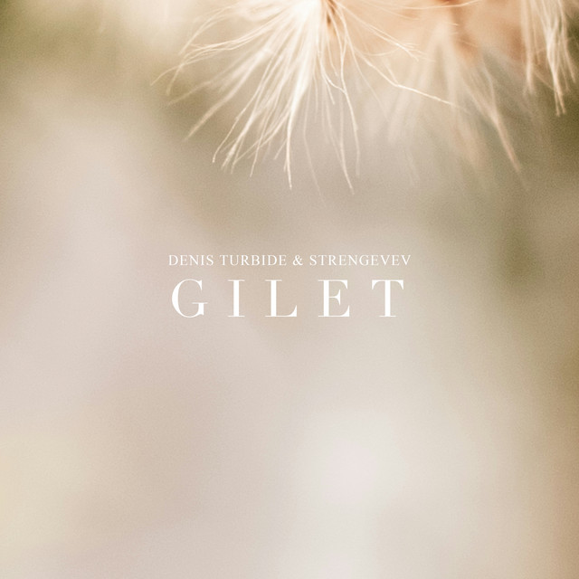 Gilet cover