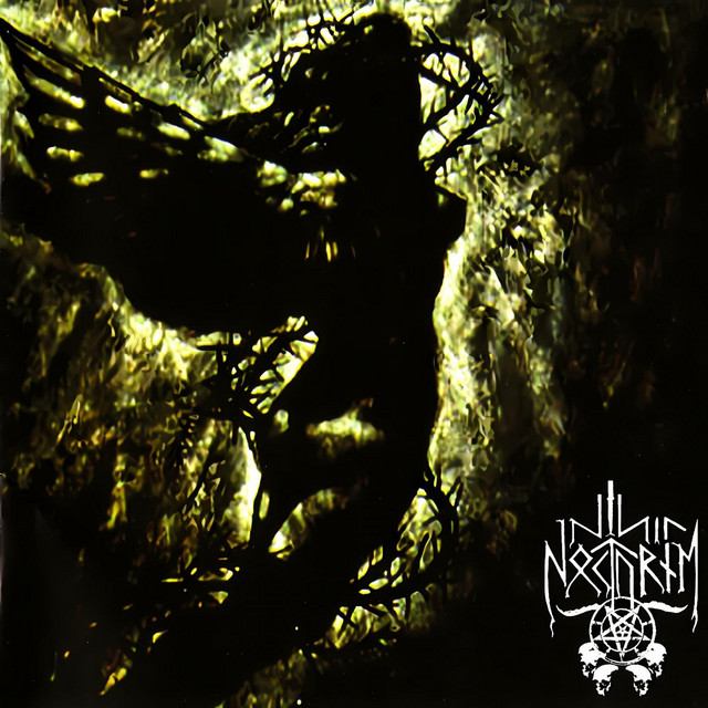 Nihil Nocturne Photo