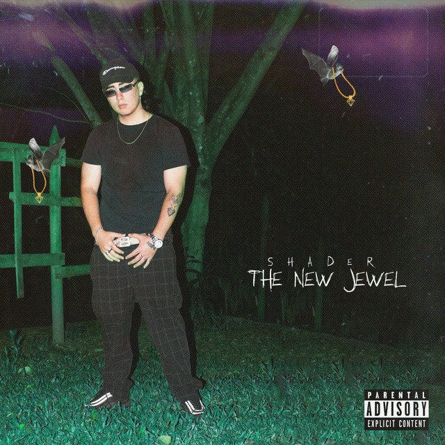 The New Jewel cover art