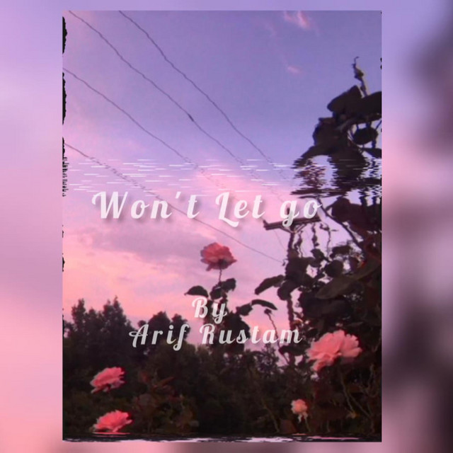 Won't Let Go - Single by Arif Rustam | Spotify