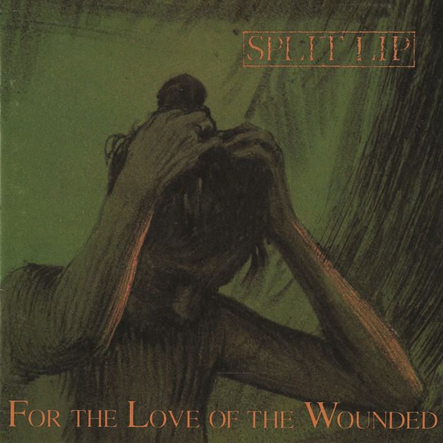 For the Love of the Wounded cover art