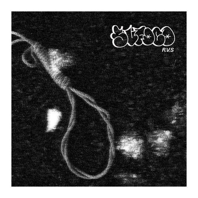 RVS cover art