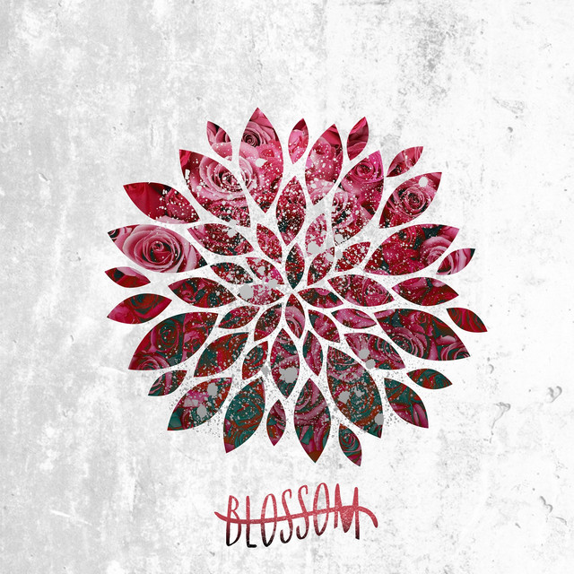 Blossom cover art