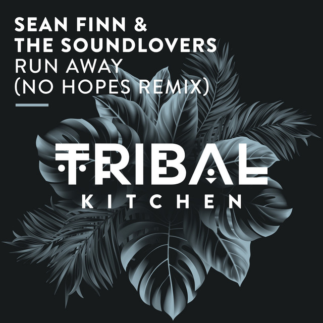 Run Away - No Hopes Radio Edit