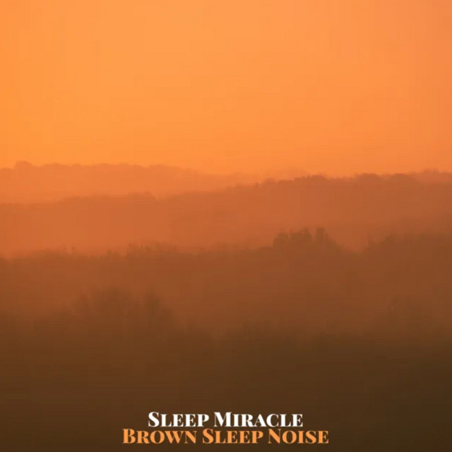 Brown Sleep Noise cover art
