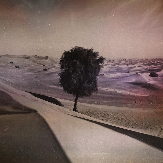 Cover art: lost — TwinkleBeeMusic