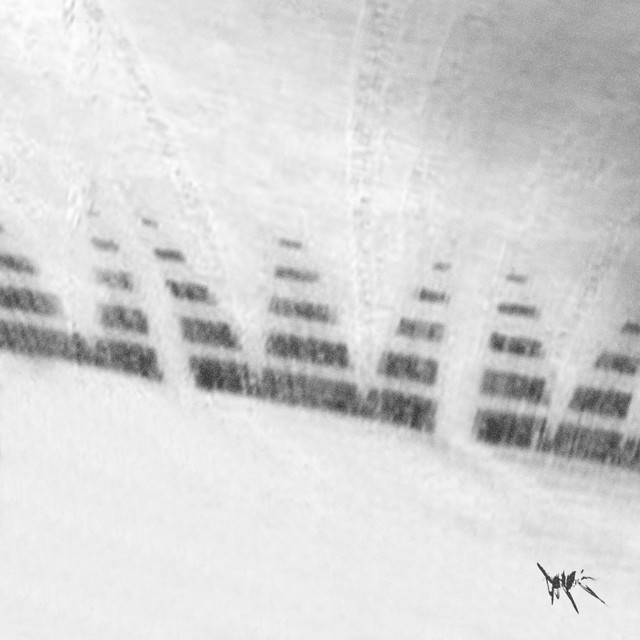 snowdream cover art