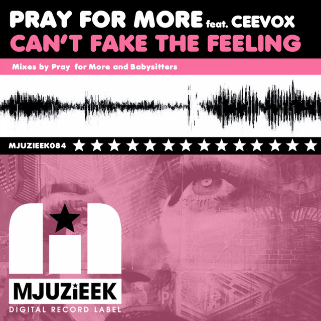 Can't Fake The Feeling - Babysitters Remix cover art