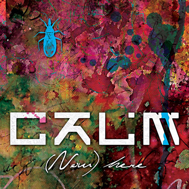 C.A.L.M. Photo