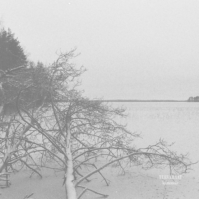 Kalmonsäie cover art