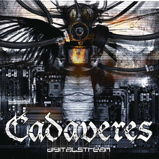 Digitalstream cover art