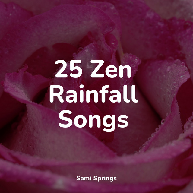 25 Zen Rainfall Songs - Album by Natural Rain Sounds for Sleeping | Spotify