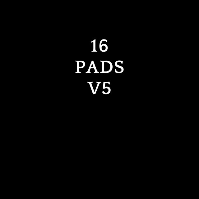 16 PADS V5 cover art