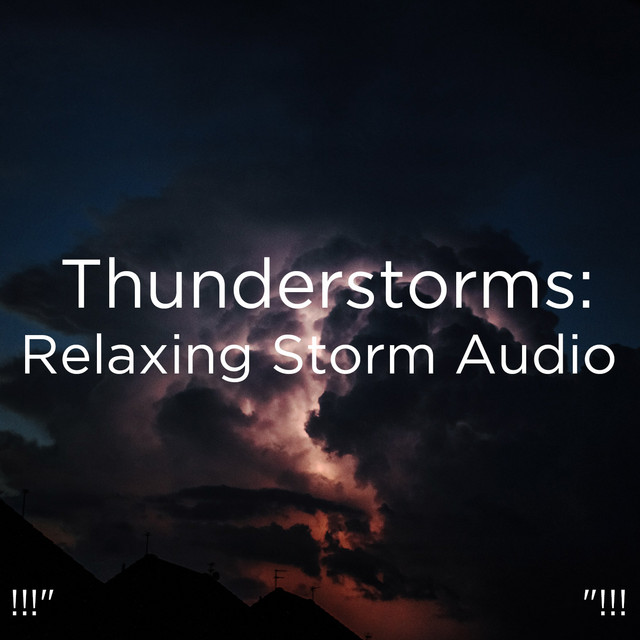 Night Storm - song and lyrics by Thunderstorm Sound Bank, Thunderstorm ...