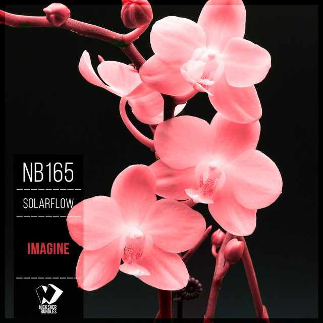 Imagine cover art