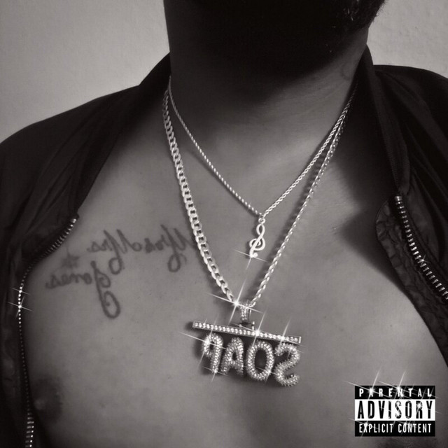 Zoom cover art