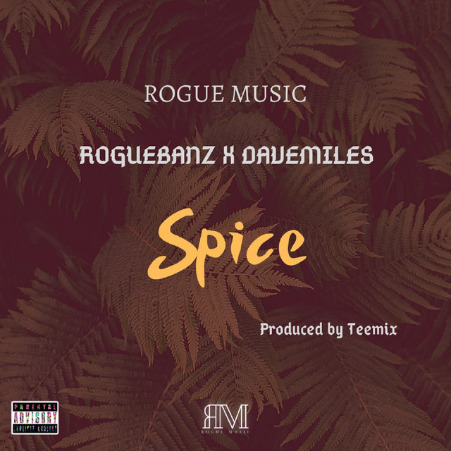 Da Rogue Photo