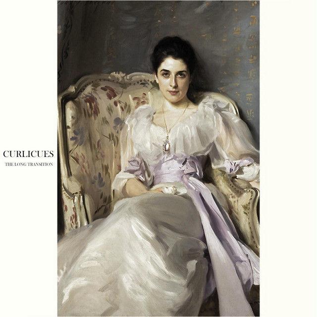 The Long Transition cover