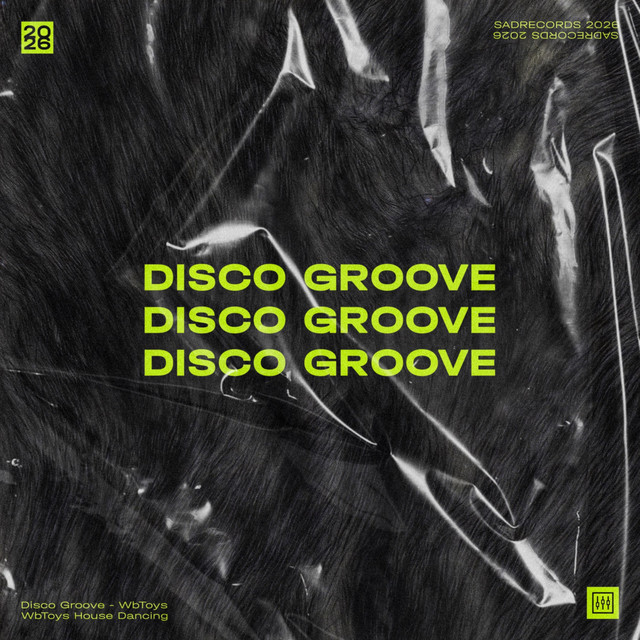 Disco Groove