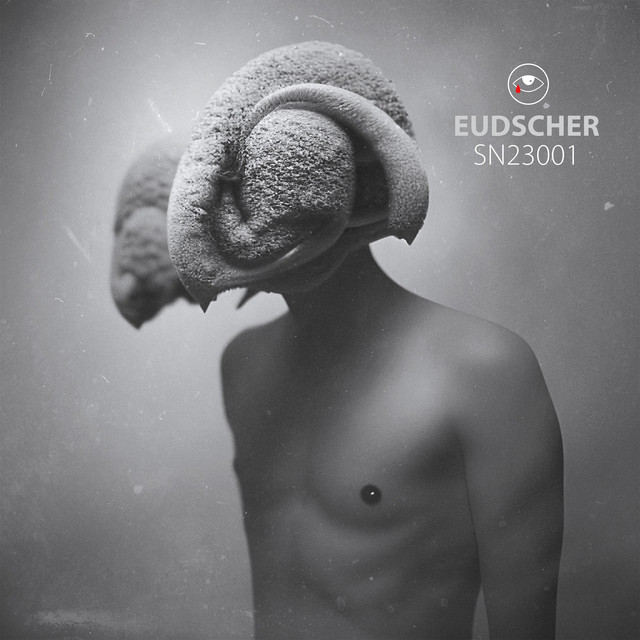 SN23001 cover art