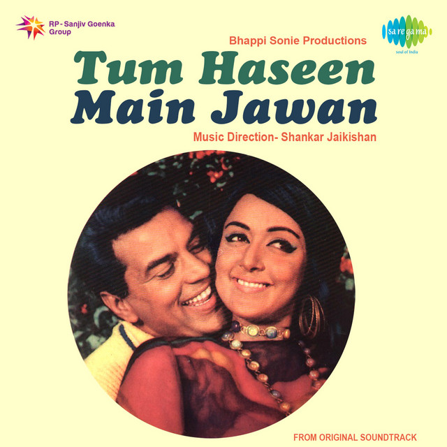 Tum Haseen Main Jawan cover art