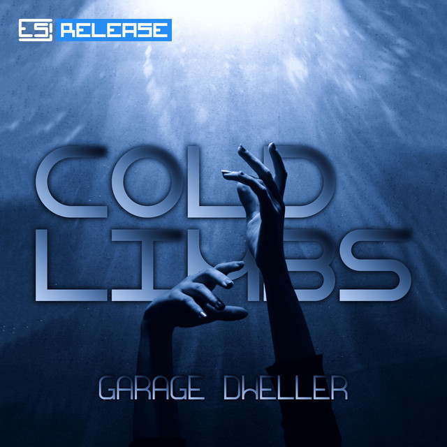 Cold Limbs - song and lyrics by Garage Dweller | Spotify