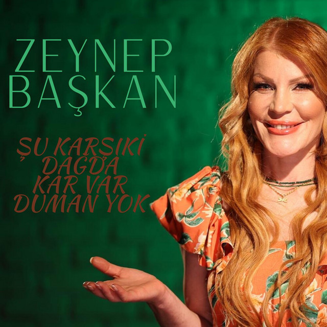 Şu Karşıki Dağda Kar Var Duman Yok album image