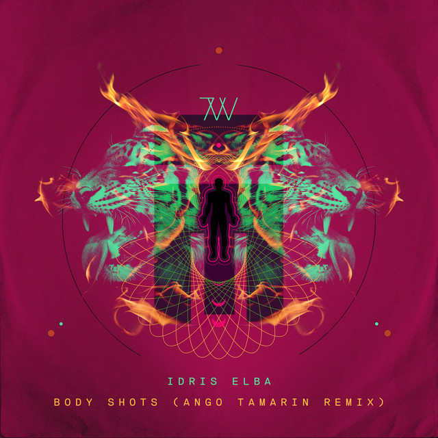 Body Shots (Ango Tamarin Remix) cover