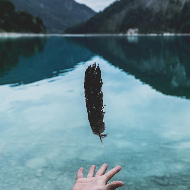 Let go