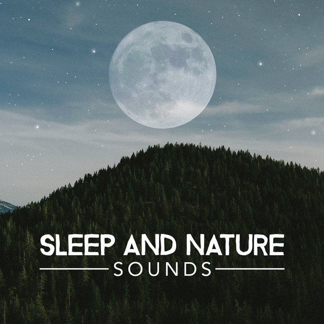 Sleep and Nature Sounds - Album by Musica Relajante | Spotify
