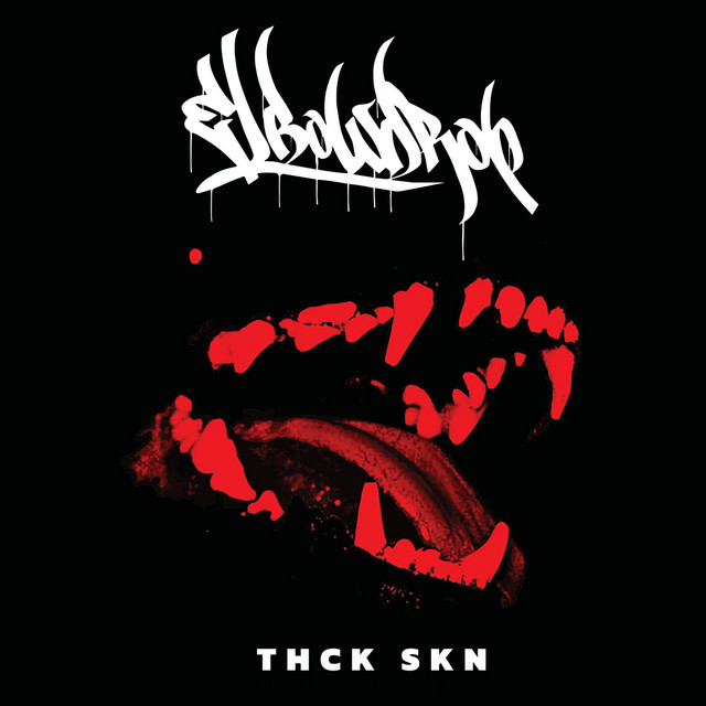Thick Skin cover