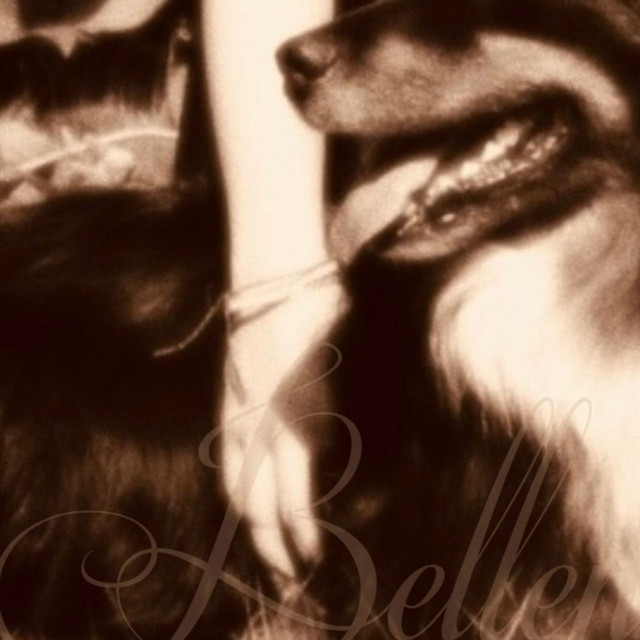Bellen cover art