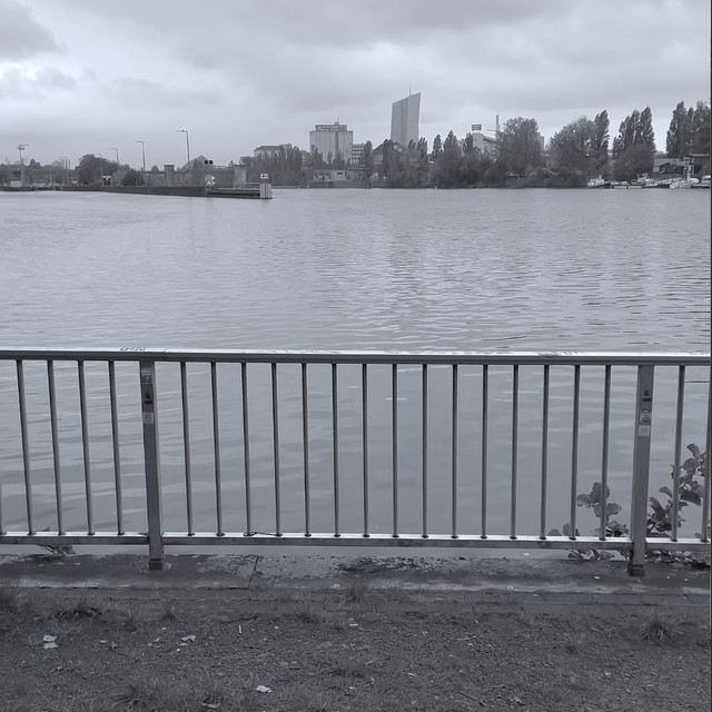 Barracuda