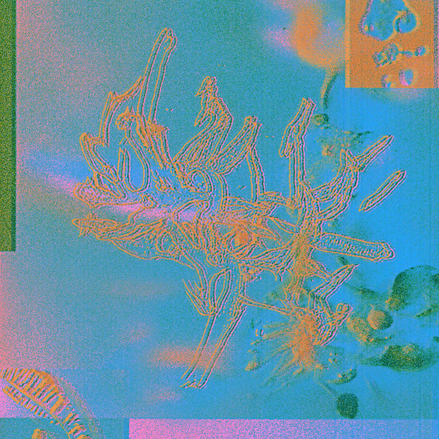 Capsule cover art
