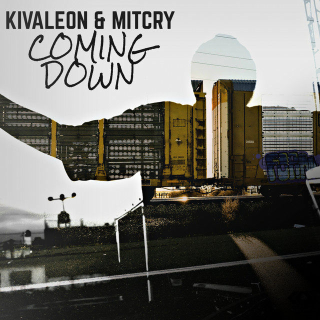Coming Down - Single by KIVALEON | Spotify