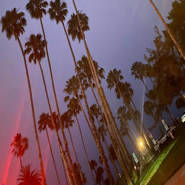 Cut From The Same Cord