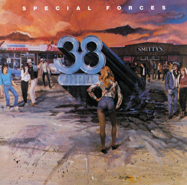 Special Forces cover