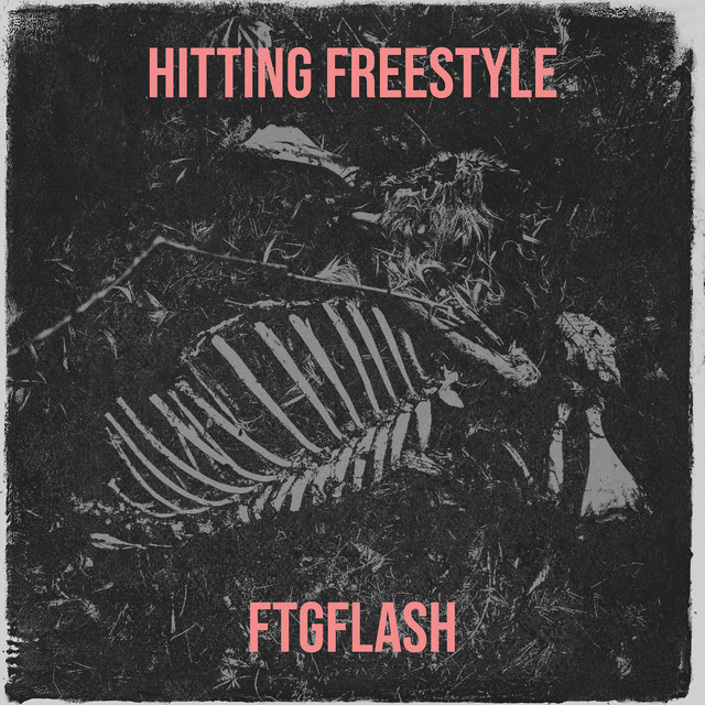 FTGFLASH