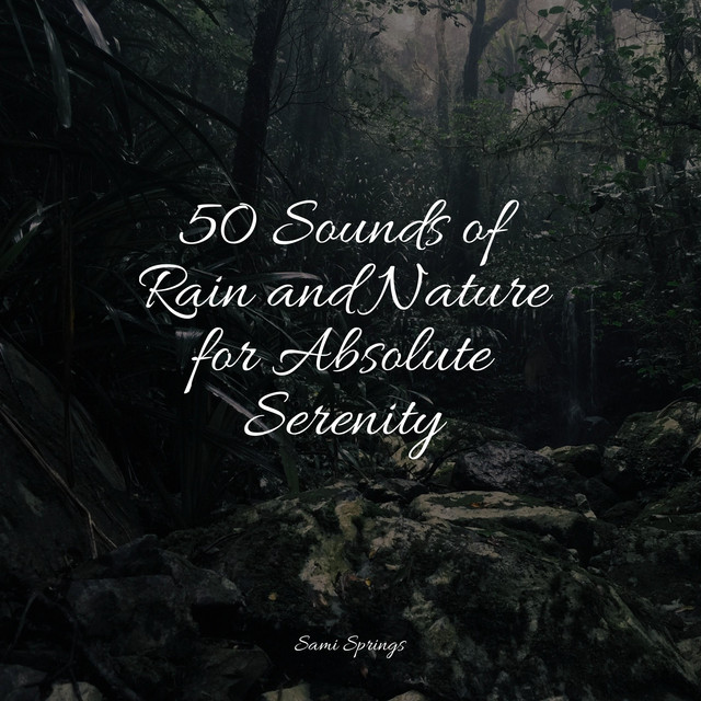 50 Sounds of Rain and Nature for Absolute Serenity - Album by Deep ...