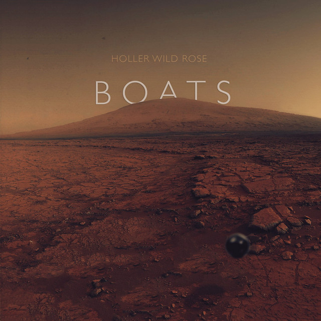 Boats cover