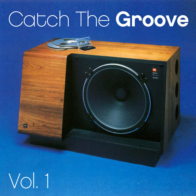 Catch the Groove - Vol. 1
