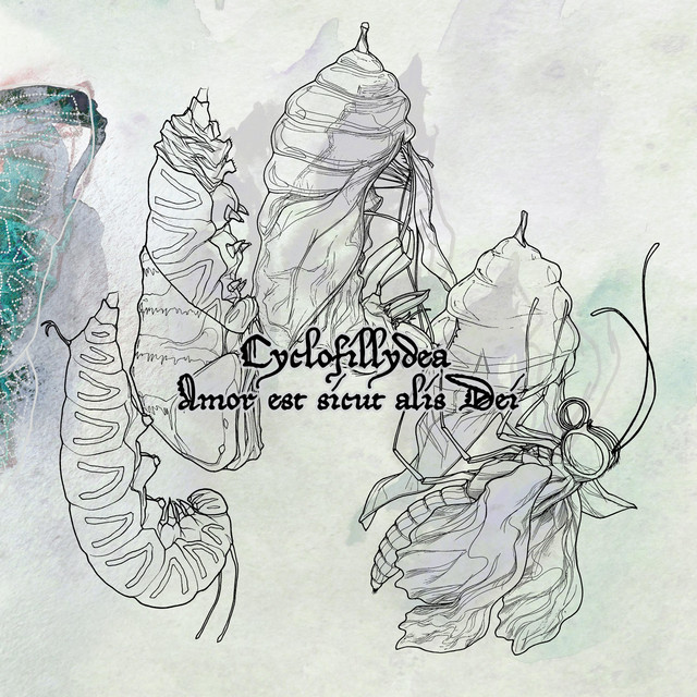 Amor est sicut alis Dei cover