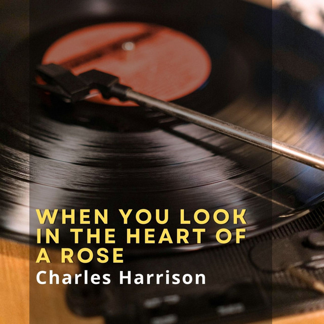 When You Look in the Heart of a Rose