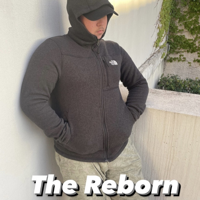 The Reborn cover art