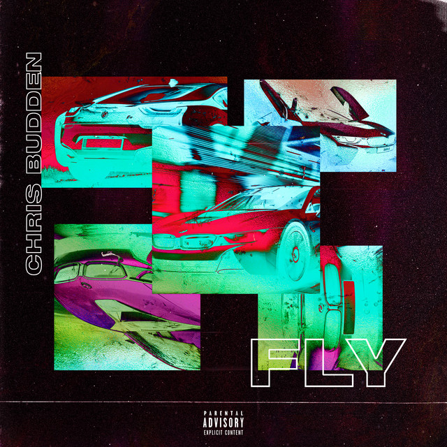 Fly cover art