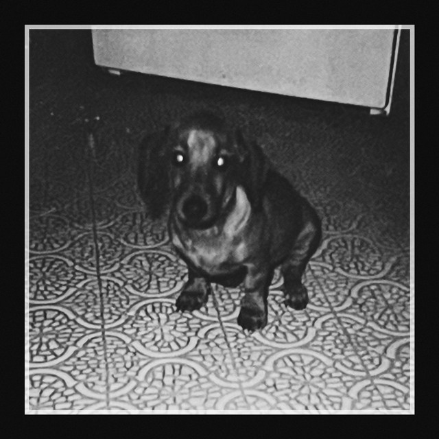 reminiscence cover art