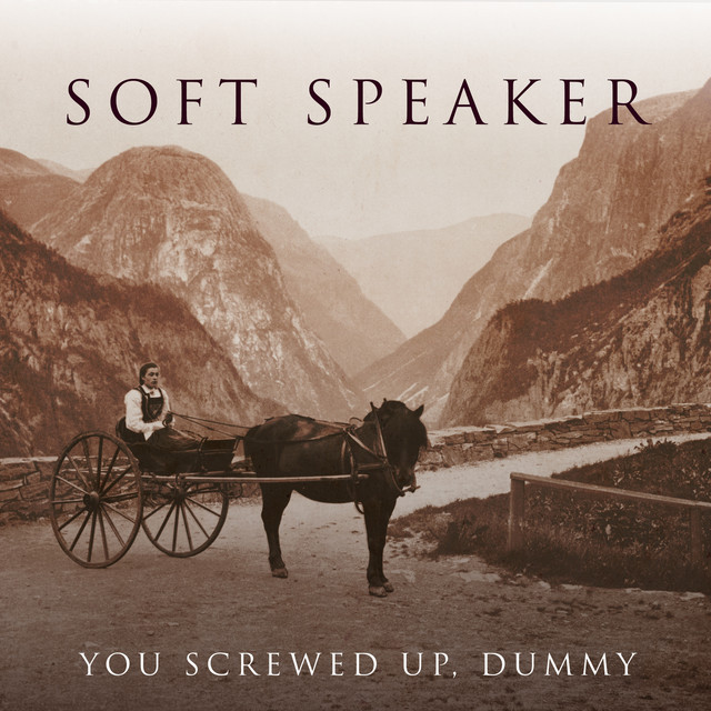 You Screwed Up, Dummy cover