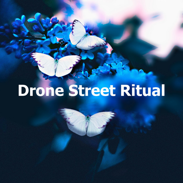 Drone Street Ritual - Album by Nature Calm | Spotify